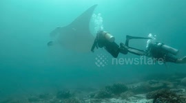 Manta rescue camera 1