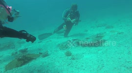 Manta rescue celebration