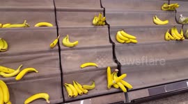 London store sees empty shelves as locals stock up on essentials