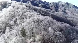 Stunning drone footage of snow-covered trees at Chinese scenic spot