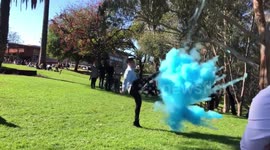Baby boy gender reveal