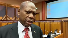South African minister says preparations underway to evacuate its citizens from China