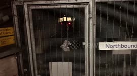 London Underground tube train filmed from secret tunnel speeds past disused and abandoned station