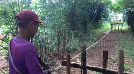 Traditional rope maker in Indonesia hand-makes lengths out of banana fibers