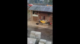 Chicken prefers horse stable to chicken coop