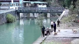 Young Chinese man dives into river and rescues toddler who accidentally fell in