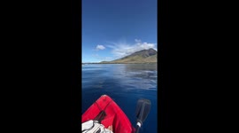 Hawaii kayaker has incredibly close encounter with baby whale