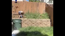 Springtime Weeding Timelapse in California Backyard