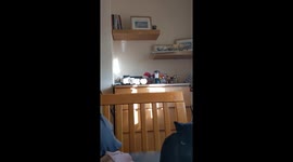Cat Fetches Like a Dog