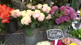 Everything half price at Pink Pansy The Flower Stall at Embankment station - London