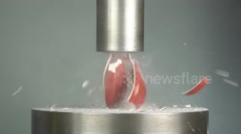 Hydraulic press has no mercy on these household objects