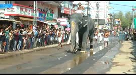 Famous elephant race held in south India city