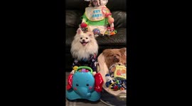 When your family pesters you to have children.