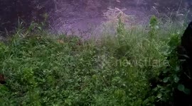 It's Raining Outside