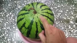 Kittens Hide Inside Watermelon