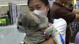 Thailand pet show attendees 'down on previous years' due to coronavirus fears