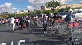 'Hundreds line up' at LA Costco as panic buyers get supplies