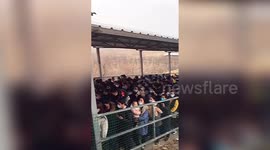 Hundreds of tourists visit Chinese scenic spot as entry fee suspended for International Women's Day