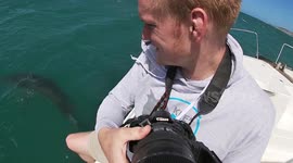 Wildlife Photographer Catches Jumping Shark Selfie