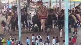 Elephant causes panic after running amok at south Indian festival