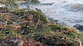 Me and my friend trying to make our plans