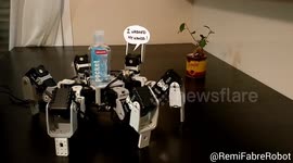 Robot reminds people to wash hands during coronavirus outbreak