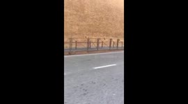 Eerie scenes at the Vatican, Rome, Italy , Corona Virus