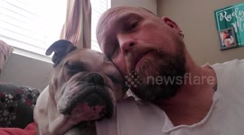The love between this bulldog and his owner is inspiring