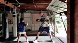 Power and speed of 7 year old boxer
