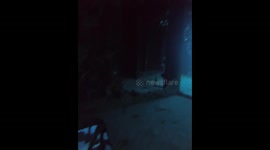A very crowded wreck dive
