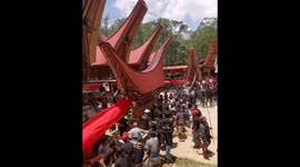 Indonesian tribe's ritual sees locals parade boat-shaped houses around the village