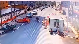 Chinese policeman shoots dead runaway buffalo after it attacks pedestrians