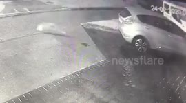 Cunning fox has been caught on CCTV stealing milk from UK family