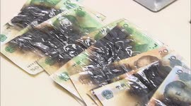 Chinese citizen scared of coronavirus burns banknotes worth over £300 in microwave as she tries to disinfect them