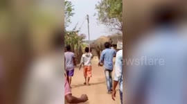 Wild tusker storms into village, jumps into pond after being chased by angry villagers in eastern India