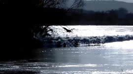 4-star Severn Bore on 12 March 2020