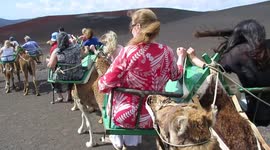 Camel Ride With The Family