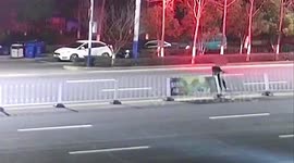 Chinese man arrested after deliberately tipping over central reservation fence onto road