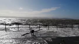 High tides bring this dog a big stick to play with