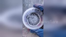 Lacquer thinner mixed with metal flake paint gives a mesmerising reaction