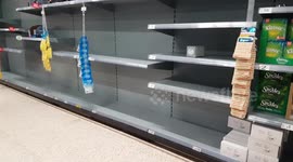 empty shelves of toilet paper