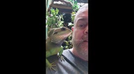 Walter the water dragon is not amused