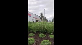 Eastvale Costco 2 hour wait long lines due to corona virus