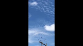 The RAF Red Arrows flyover