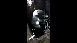 Indian villagers use crane to save baby elephant trapped in pit during four-hour operation