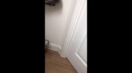 My sister poo pranking her son