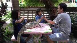 Family Eat Ice Cream With Pet Lizard
