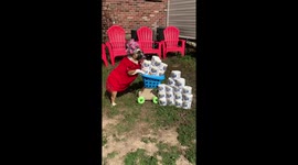 When you send your dog to the store.