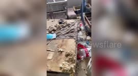 Chinese girl leaves apartment full of rubbish as she rents it for pet dogs