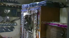 Brave father risks life to save 2-year-old daughter from room where runaway leopard was holed up; forest officials rescue beast following marathon operation in Western India